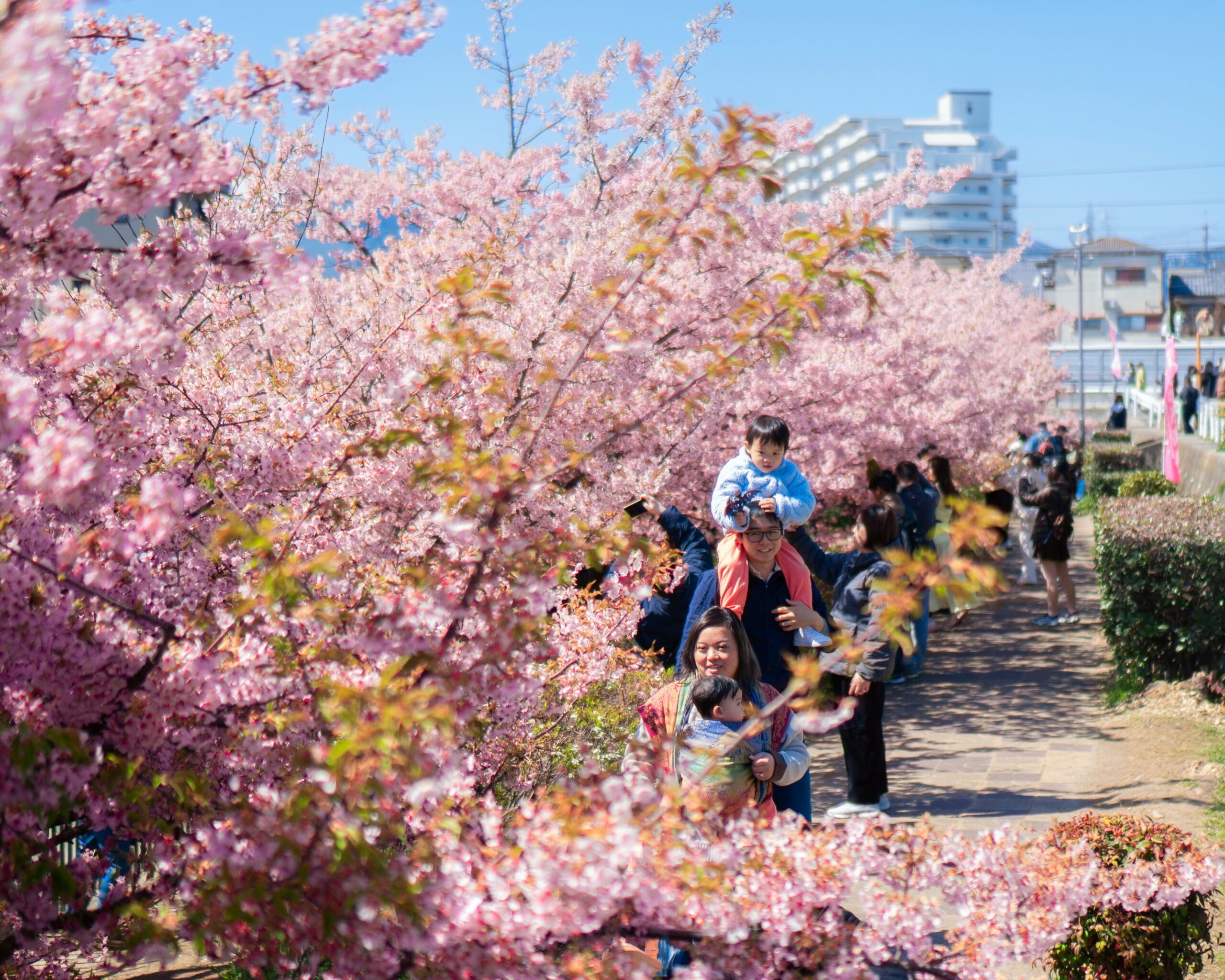 エルゴベビー OMNI Breeze おすすめ レビュー 育児ガジェット 2026 パパ - Photo by Raymond Yeung on Unsplash